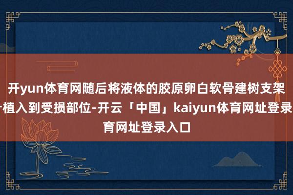 开yun体育网随后将液体的胶原卵白软骨建树支架打针植入到受损部位-开云「中国」kaiyun体育网址登录入口