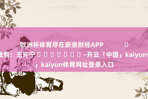 欧洲杯体育尽在新浪财经APP            						连累裁剪：王许宁 							-开云「中国」kaiyun体育网址登录入口
