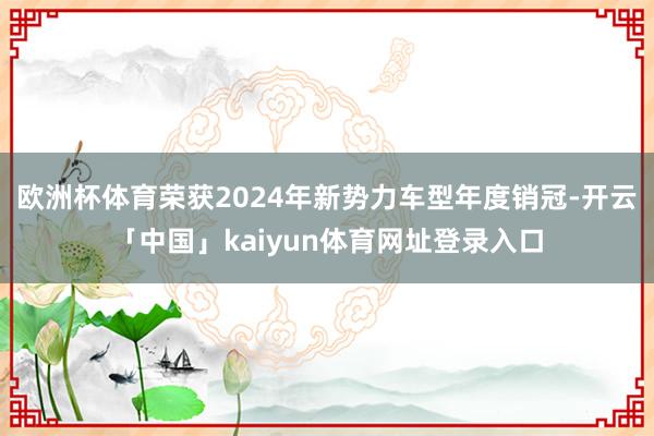 欧洲杯体育荣获2024年新势力车型年度销冠-开云「中国」kaiyun体育网址登录入口