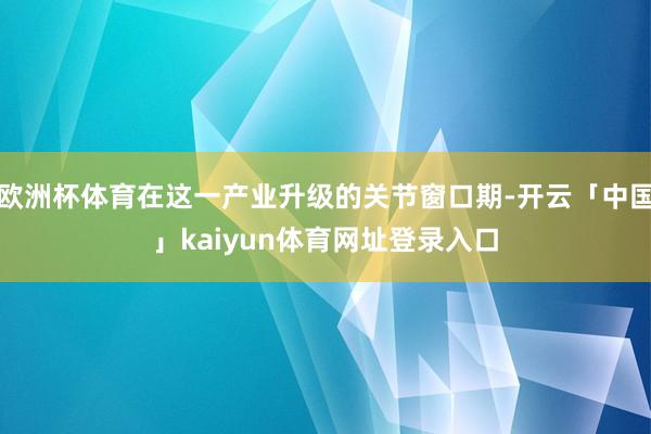 欧洲杯体育在这一产业升级的关节窗口期-开云「中国」kaiyun体育网址登录入口