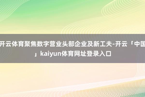 开云体育聚焦数字营业头部企业及新工夫-开云「中国」kaiyun体育网址登录入口