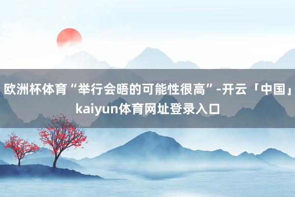 欧洲杯体育“举行会晤的可能性很高”-开云「中国」kaiyun体育网址登录入口