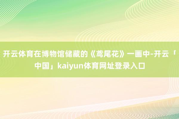 开云体育在博物馆储藏的《鸢尾花》一画中-开云「中国」kaiyun体育网址登录入口
