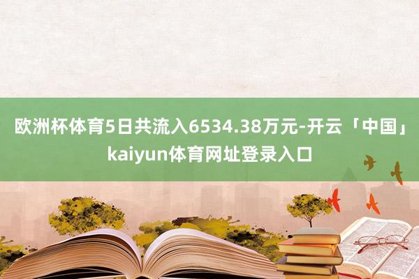 欧洲杯体育5日共流入6534.38万元-开云「中国」kaiyun体育网址登录入口