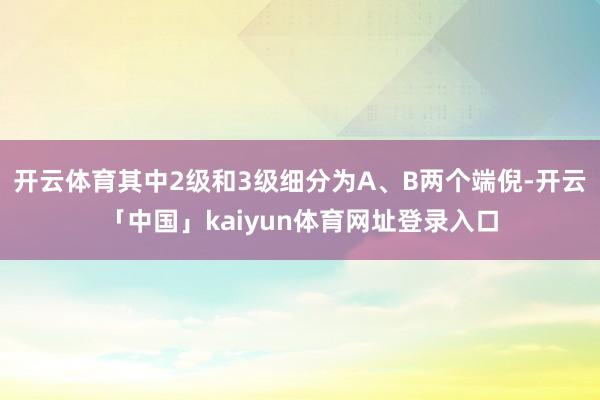 开云体育其中2级和3级细分为A、B两个端倪-开云「中国」kaiyun体育网址登录入口