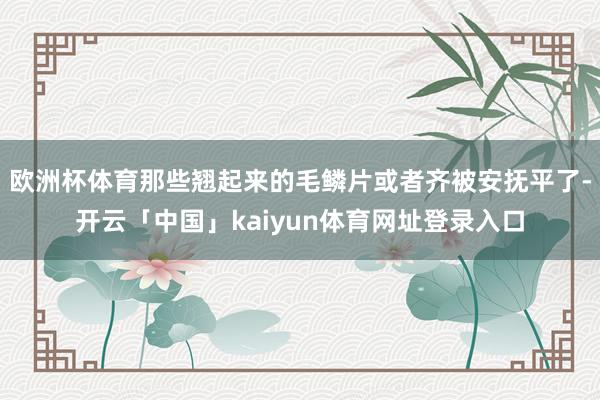 欧洲杯体育那些翘起来的毛鳞片或者齐被安抚平了-开云「中国」kaiyun体育网址登录入口