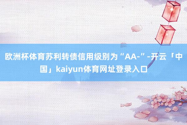 欧洲杯体育苏利转债信用级别为“AA-”-开云「中国」kaiyun体育网址登录入口