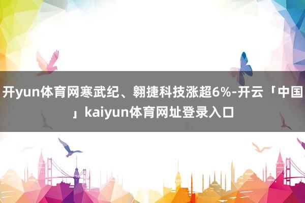 开yun体育网寒武纪、翱捷科技涨超6%-开云「中国」kaiyun体育网址登录入口